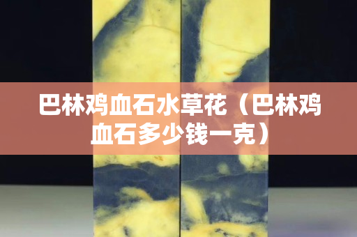 巴林雞血石水草花（巴林雞血石多少錢一克）