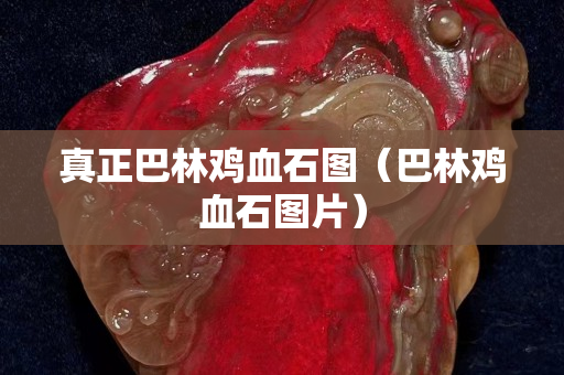 真正巴林雞血石圖（巴林雞血石圖片）