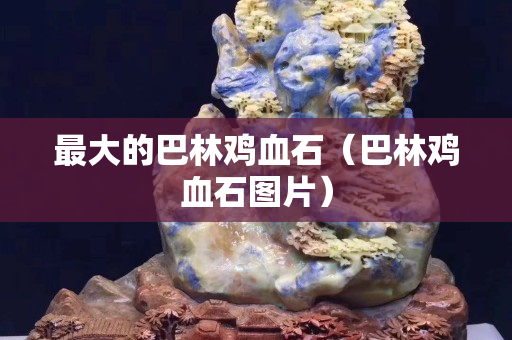 最大的巴林雞血石（巴林雞血石圖片）