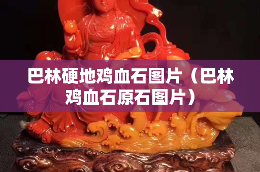 巴林硬地雞血石圖片（巴林雞血石原石圖片）
