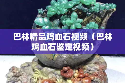 巴林精品雞血石視頻（巴林雞血石鑒定視頻）
