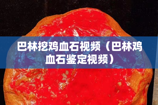 巴林挖雞血石視頻（巴林雞血石鑒定視頻）