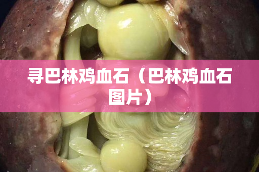 尋巴林雞血石（巴林雞血石圖片）