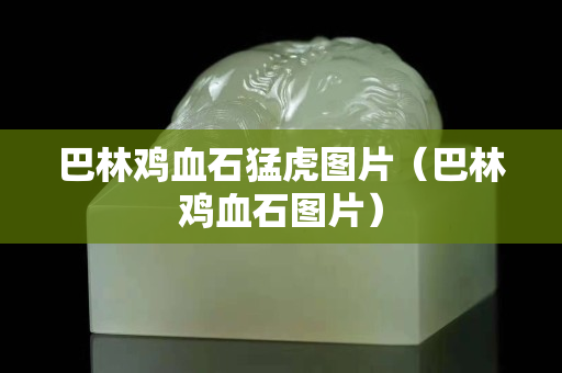 巴林雞血石猛虎圖片（巴林雞血石圖片）