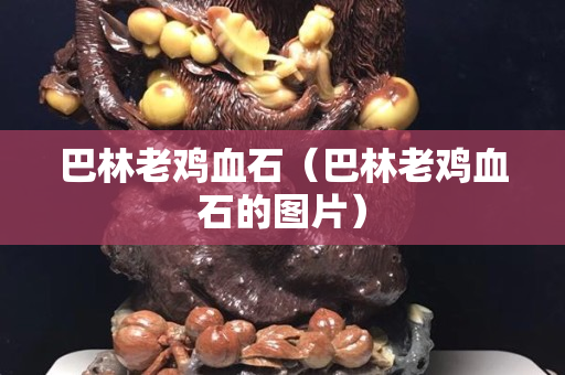 巴林老雞血石（巴林老雞血石的圖片）