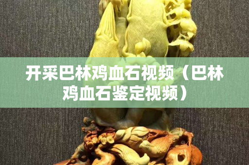 開采巴林雞血石視頻（巴林雞血石鑒定視頻）