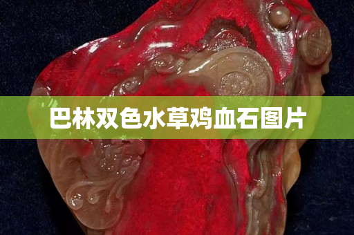 巴林雙色水草雞血石圖片