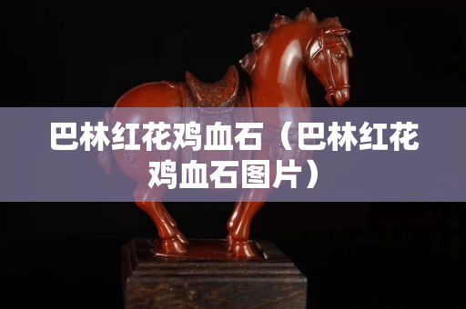 巴林紅花雞血石（巴林紅花雞血石圖片）