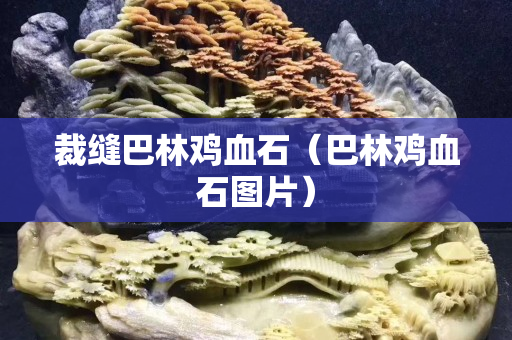 裁縫巴林雞血石（巴林雞血石圖片）