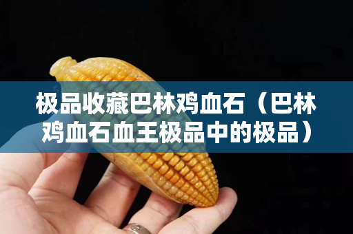 極品收藏巴林雞血石（巴林雞血石血王極品中的極品）