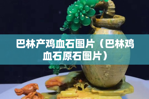 巴林產(chǎn)雞血石圖片（巴林雞血石原石圖片）