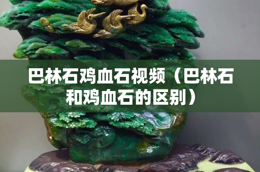 巴林石雞血石視頻（巴林石和雞血石的區別）