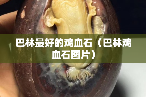 巴林最好的雞血石（巴林雞血石圖片）
