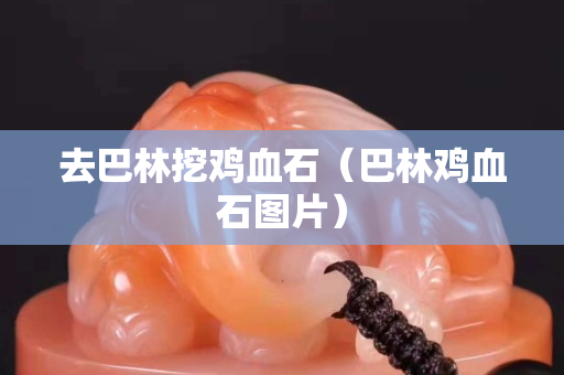去巴林挖雞血石（巴林雞血石圖片）