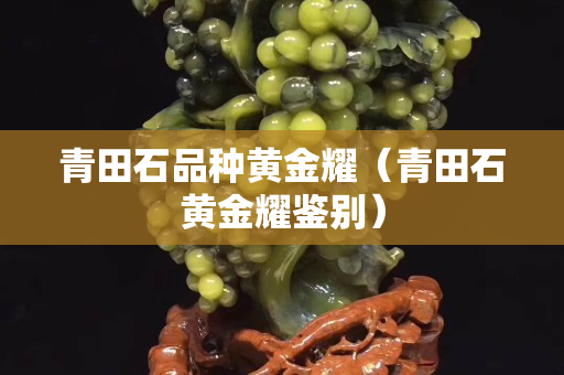 青田石品種黃金耀（青田石黃金耀鑒別）