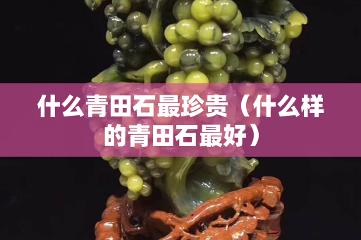 什么青田石最珍貴（什么樣的青田石最好）