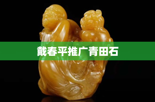 戴春平推廣青田石