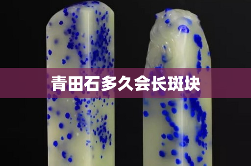 青田石多久會長斑塊