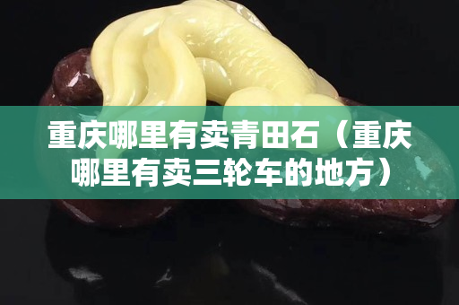 重慶哪里有賣青田石（重慶哪里有賣三輪車的地方）