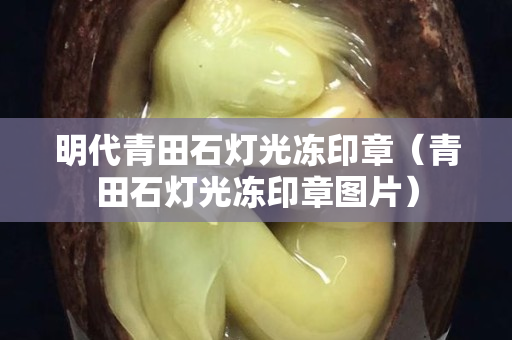 明代青田石燈光凍印章（青田石燈光凍印章圖片）