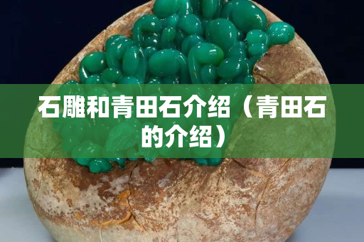 石雕和青田石介紹（青田石的介紹）