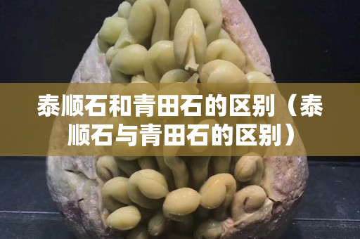 泰順石和青田石的區(qū)別（泰順石與青田石的區(qū)別）