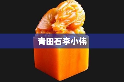 青田石李小偉