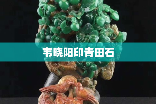 韋曉陽印青田石