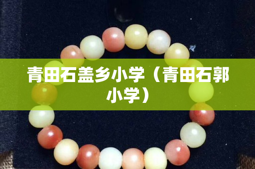 青田石蓋鄉小學（青田石郭小學）