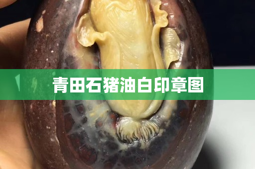 青田石豬油白印章圖