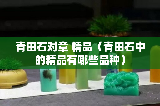 青田石對章 精品（青田石中的精品有哪些品種）