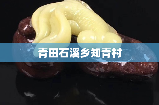 青田石溪鄉知青村