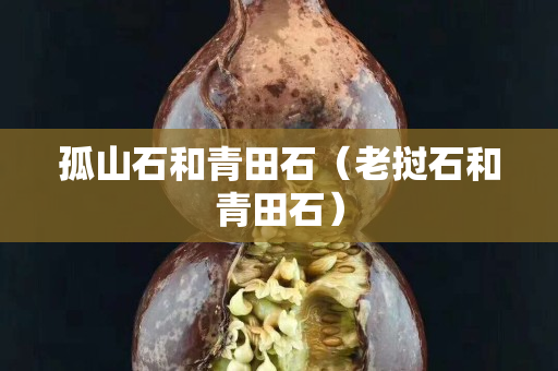 孤山石和青田石（老撾石和青田石）