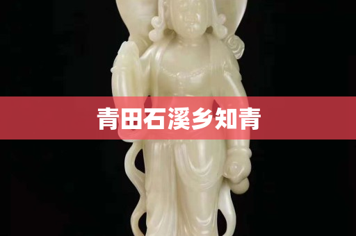 青田石溪鄉(xiāng)知青