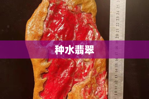 種水翡翠