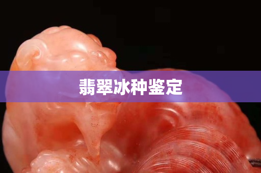 翡翠冰種鑒定