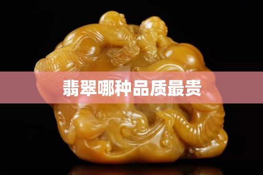翡翠哪種品質最貴