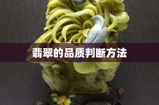 翡翠的品質(zhì)判斷方法