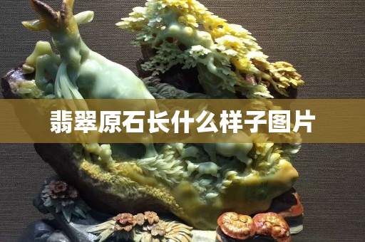 翡翠原石長什么樣子圖片