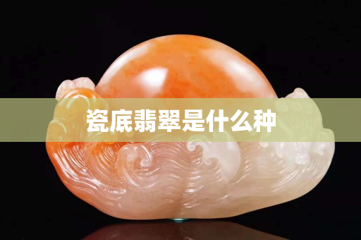 瓷底翡翠是什么種