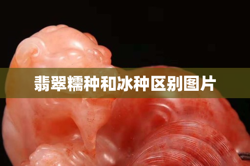 翡翠糯種和冰種區別圖片
