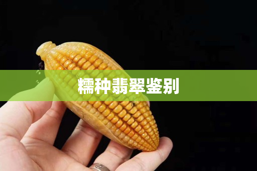 糯種翡翠鑒別