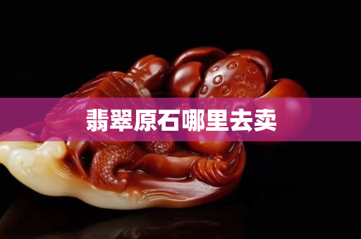 翡翠原石哪里去賣