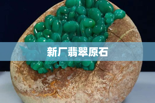 新廠翡翠原石