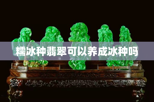 糯冰種翡翠可以養成冰種嗎