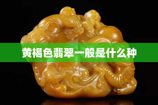 黃褐色翡翠一般是什么種