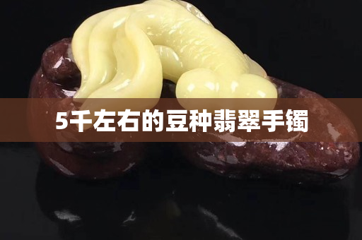 5千左右的豆種翡翠手鐲 5千左右的豆種翡翠手鐲