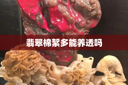 翡翠棉絮多能養透嗎