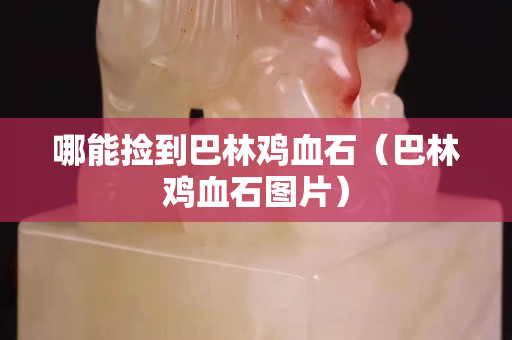 哪能撿到巴林雞血石（巴林雞血石圖片）