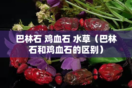巴林石 雞血石 水草（巴林石和雞血石的區別）